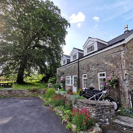 Swansea Valley Holiday Cottages Cilybebyll エクステリア 写真