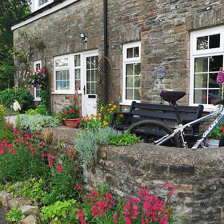 Swansea Valley Holiday Cottages Cilybebyll エクステリア 写真