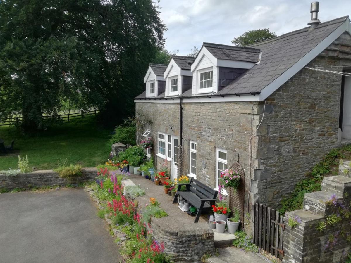 Swansea Valley Holiday Cottages Cilybebyll エクステリア 写真
