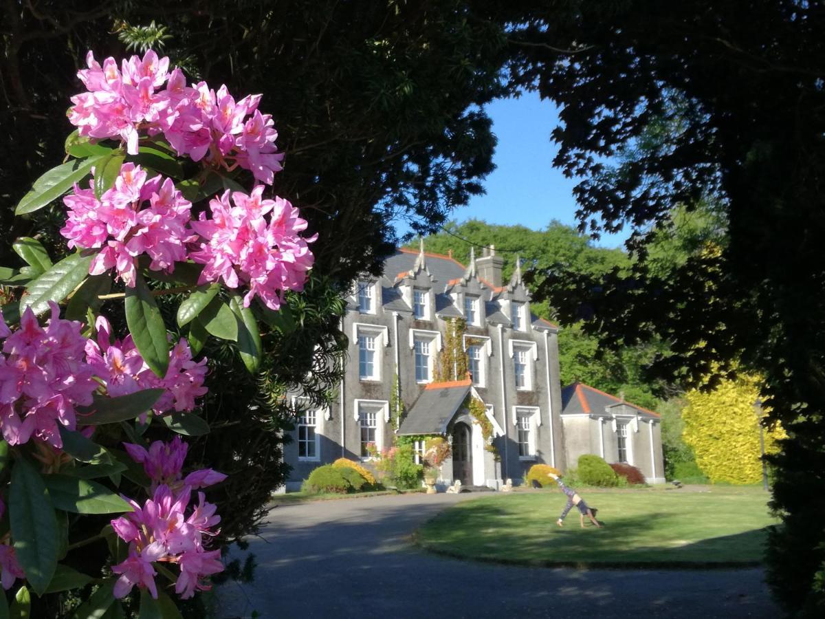 Swansea Valley Holiday Cottages Cilybebyll エクステリア 写真