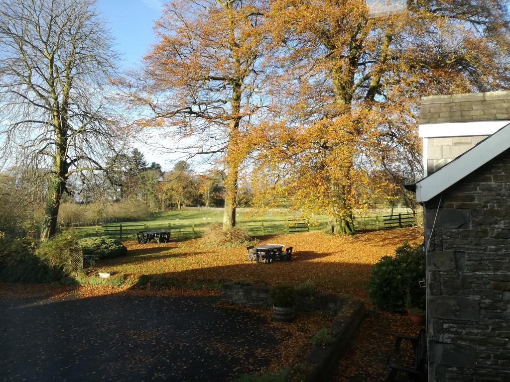 Swansea Valley Holiday Cottages Cilybebyll エクステリア 写真